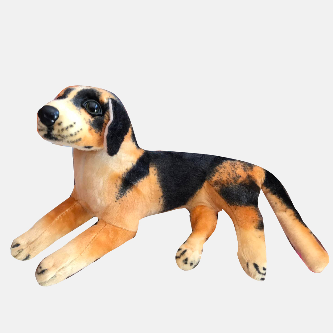 Cute Little Puppy