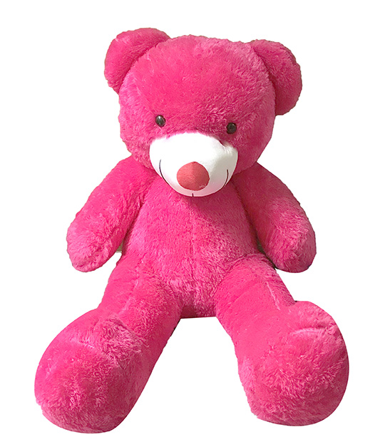 Pink Teddy Bear Huggable